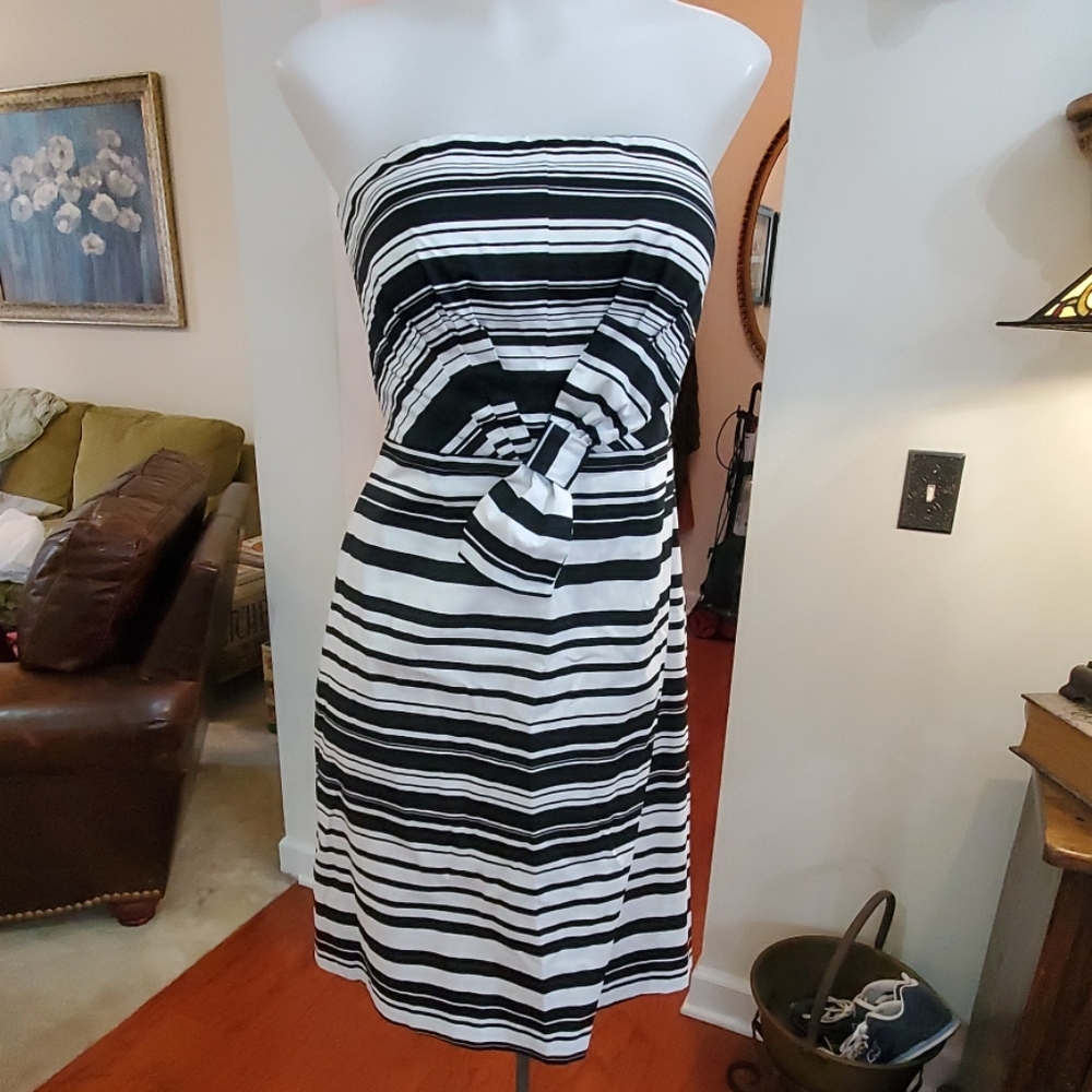 Calvin Klein Dress